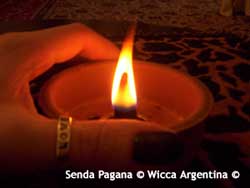 Wicca, Magia, Hierbas, Hierbas Magicas,Wicca Argentina, Senda Pagana de Fire Valkyrja